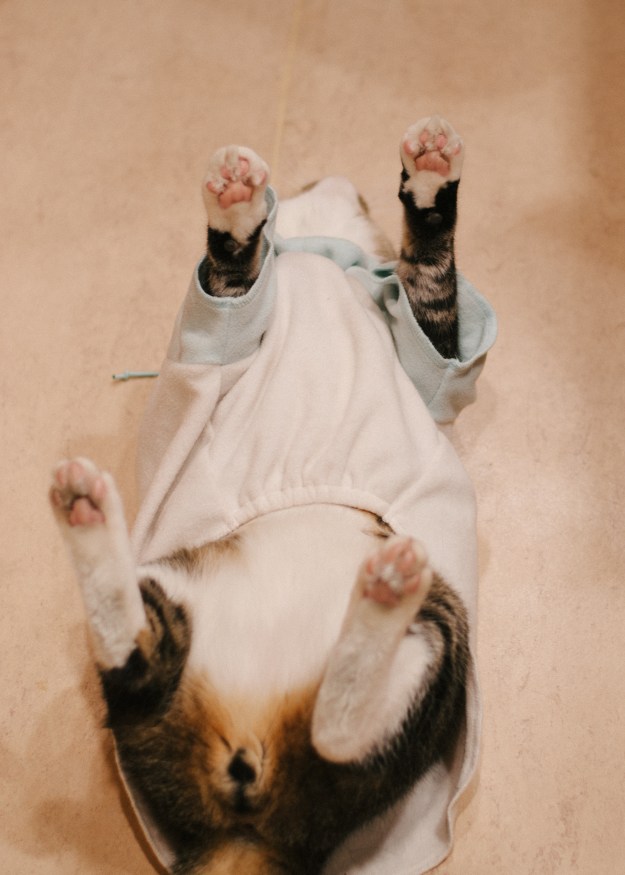 KinkadeChristmas-124