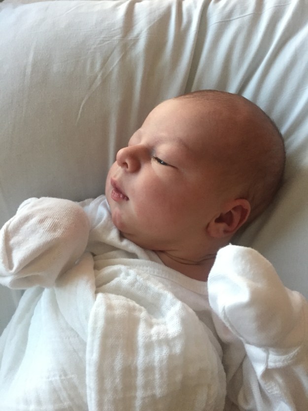 2017-01-11_13-19-39_172